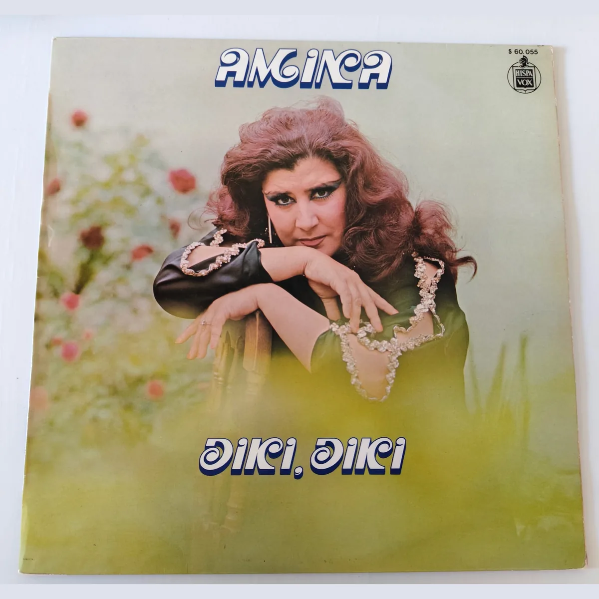 Portada de Diki, diki, de Amina