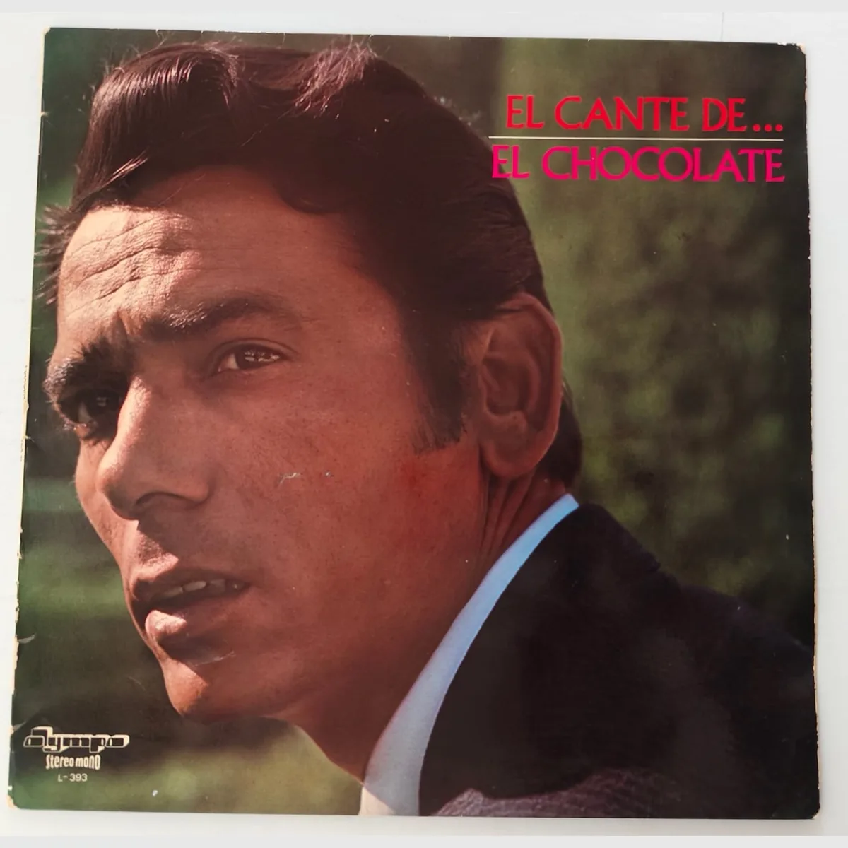 El cante flamenco de …