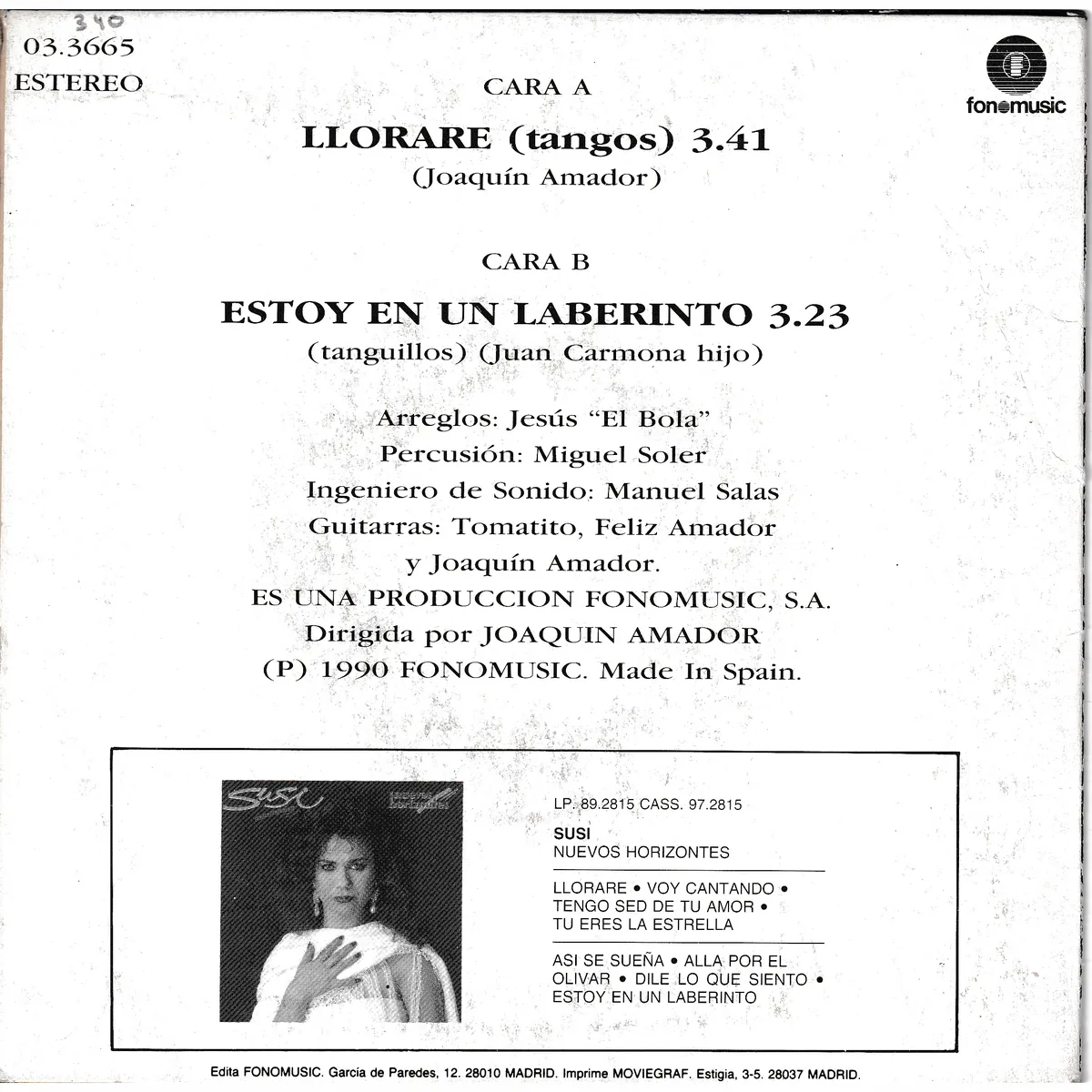 Otra vista de Lloraré – Estoy en un laberinto (NUEVOS HORIZONTES)
