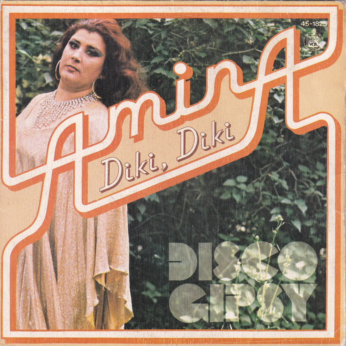 Portada de Diki, diki – Amaneció (DIKI, DIKI), de Amina