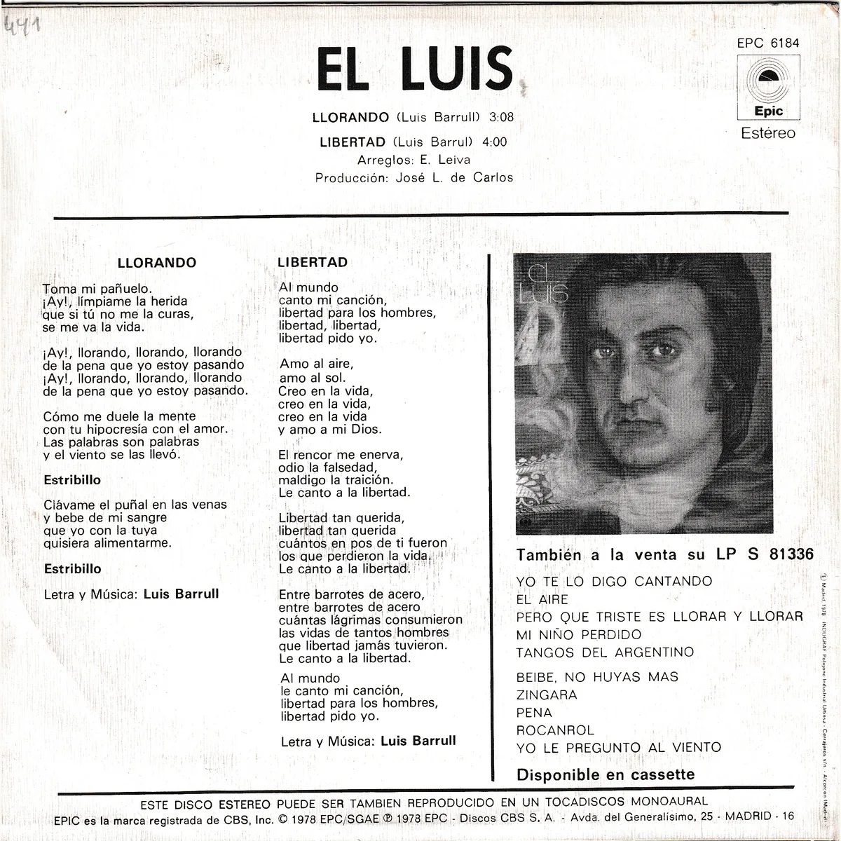 Otra vista de Llorando – Libertad