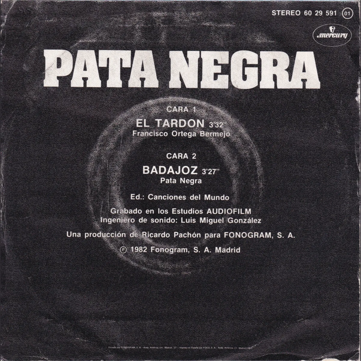 Otra vista de El tardón – Badajoz (ROCK GITANO)