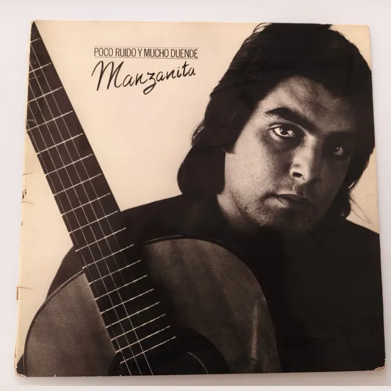 Portada de Poco ruido y mucho duende, de Manzanita