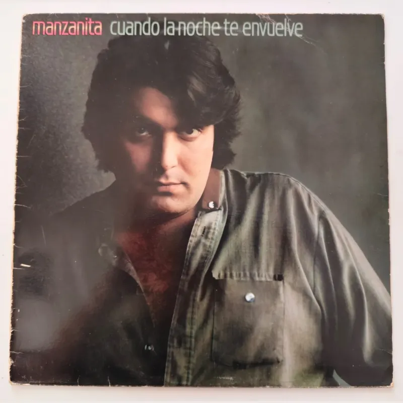 Portada de Cuando la noche te envuelve, de Manzanita