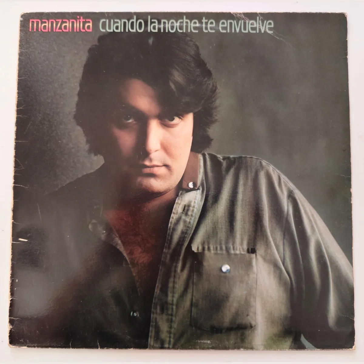 Portada de Cuando la noche te envuelve, de Manzanita
