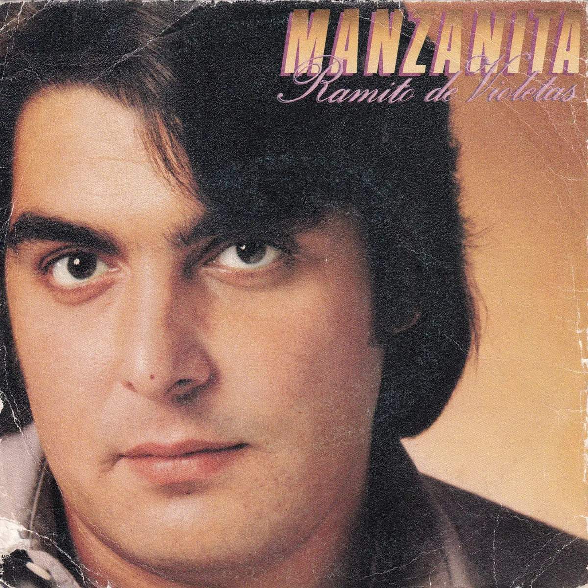 Portada de Ramito de violetas – Cosa nostra (TALCO Y BRONCE), de Manzanita