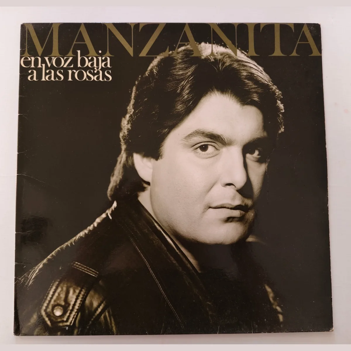 Portada de En voz baja a las rosas, de Manzanita