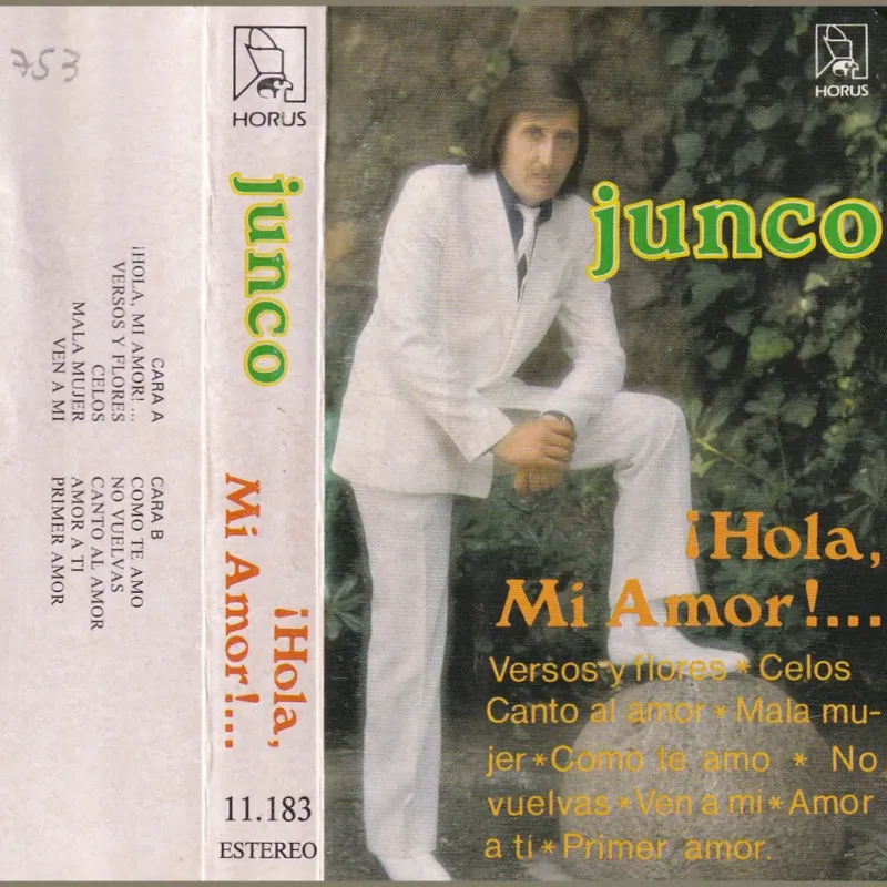 Portada de ¡Hola, mi amor!…, de Junco