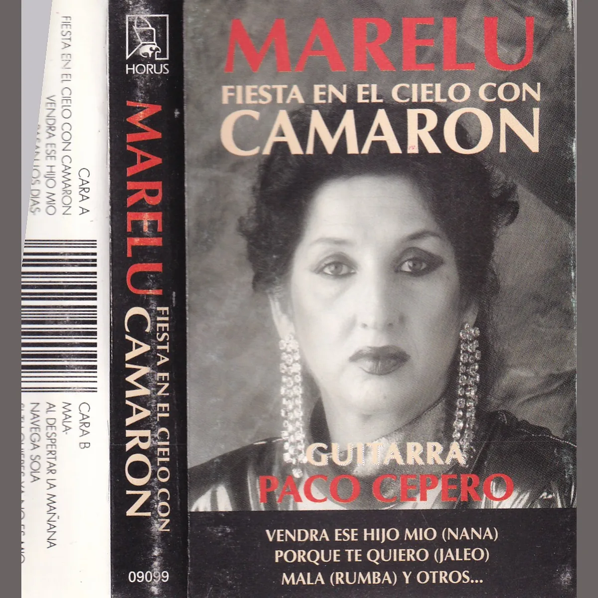 Fiesta en el cielo con Camarón