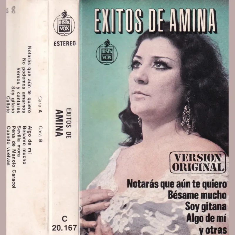 Portada de Éxitos de …, de Amina