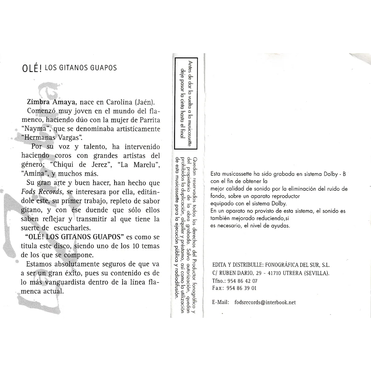 Otra vista de ¡Ole! Los gitanos guapos