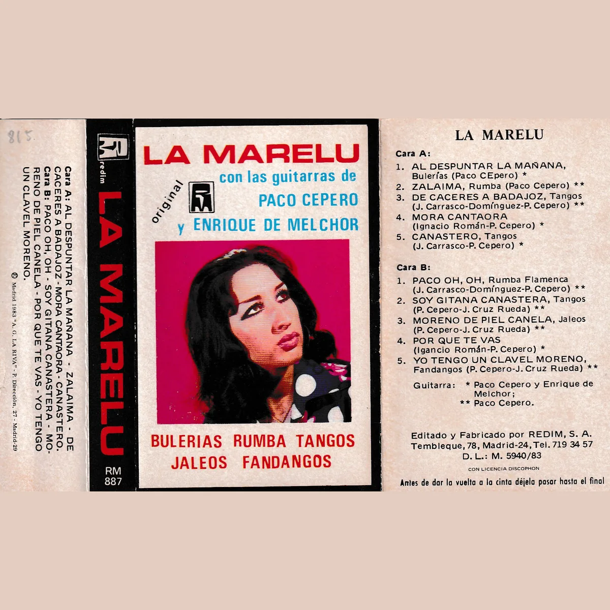 Bulerías, rumba, tangos, jaleos, fandangos