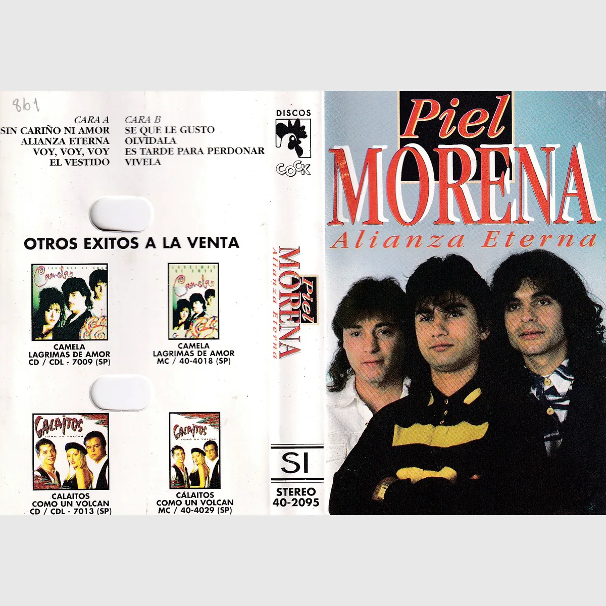 Piel morena