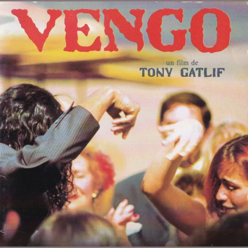 Portada de Vengo : un film de Tony Gatlif, de Varios