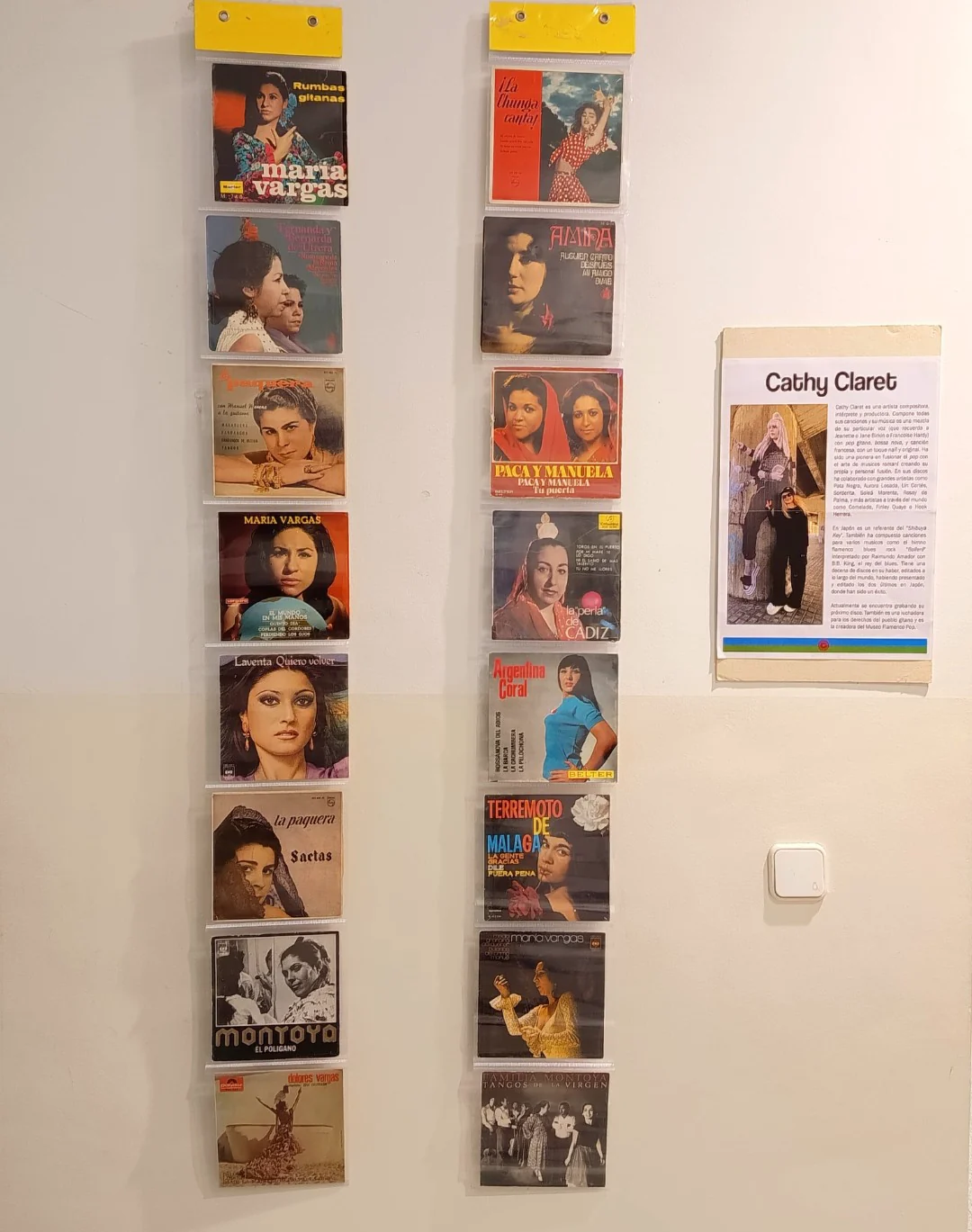 Museo Flamenco Pop en Biblioteca Bon Pastor, Barcelona