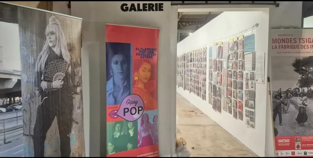 Museo Flamenco Pop en Halle Tropisme, Montpellier